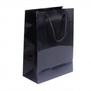 Laminated Bags